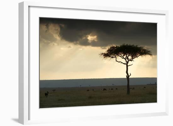 Africa Savannah-null-Framed Photographic Print