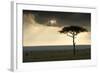 Africa Savannah-null-Framed Photographic Print