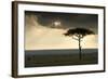 Africa Savannah-null-Framed Photographic Print