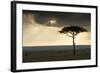 Africa Savannah-null-Framed Photographic Print