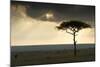 Africa Savannah-null-Mounted Photographic Print