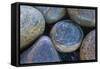 Africa, South Africa, Buckballbaai. Cluster of Rounded Rocks-Jaynes Gallery-Framed Stretched Canvas