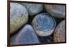 Africa, South Africa, Buckballbaai. Cluster of Rounded Rocks-Jaynes Gallery-Framed Photographic Print