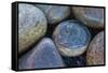 Africa, South Africa, Buckballbaai. Cluster of Rounded Rocks-Jaynes Gallery-Framed Stretched Canvas