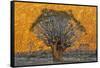 Africa, South Africa, Richtersveld National Park. Quiver Trees Against Hillside-Jaynes Gallery-Framed Stretched Canvas