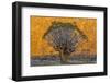 Africa, South Africa, Richtersveld National Park. Quiver Trees Against Hillside-Jaynes Gallery-Framed Photographic Print