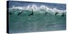 Africa, South Africa. Seals Surfing in Waves Near Boulderbaai-Jaynes Gallery-Stretched Canvas