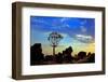 Africa, Southern Africa, Namibia, Karas Region, Succulent, Quiver Tree,-Adolf Martens-Framed Photographic Print