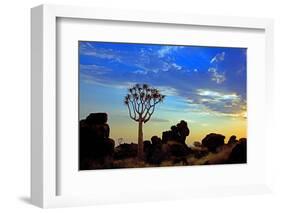 Africa, Southern Africa, Namibia, Karas Region, Succulent, Quiver Tree,-Adolf Martens-Framed Photographic Print