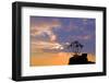 Africa, Southern Africa, Namibia, Karas Region, Succulent, Quiver Tree,-Adolf Martens-Framed Photographic Print