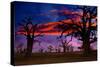 Africa Sunset in Baobab Trees Colorful Sky [Photo Illustration]-holbox-Stretched Canvas