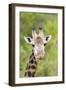 Africa, Tanzania. A head shot of a Masai giraffe.-Ellen Goff-Framed Photographic Print