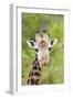 Africa, Tanzania. A head shot of a Masai giraffe.-Ellen Goff-Framed Photographic Print