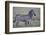 Africa, Tanzania. A young foal stands next to its mother.-Ellen Goff-Framed Photographic Print