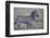 Africa, Tanzania. A young foal stands next to its mother.-Ellen Goff-Framed Photographic Print