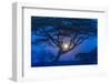 Africa, Tanzania, acacia tree and moon-Lee Klopfer-Framed Photographic Print