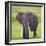 Africa. Tanzania. African elephant at the crater in the Ngorongoro Conservation Area.-Ralph H. Bendjebar-Framed Photographic Print