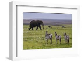 Africa. Tanzania. African elephant at the crater in the Ngorongoro Conservation Area.-Ralph H. Bendjebar-Framed Photographic Print