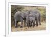 Africa. Tanzania. African elephants at Serengeti National Park.-Ralph H. Bendjebar-Framed Photographic Print