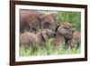 Africa. Tanzania. African elephants at Tarangire National Park,-Ralph H. Bendjebar-Framed Photographic Print