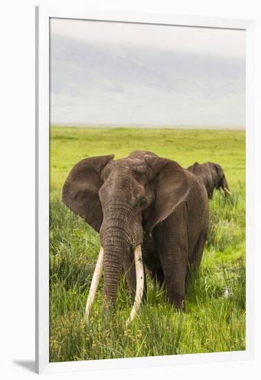 Africa. Tanzania. African elephants at the crater in the Ngorongoro Conservation Area.-Ralph H. Bendjebar-Framed Photographic Print