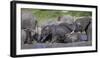 Africa. Tanzania. African elephants bathing at Ndutu, Serengeti National Park.-Ralph H. Bendjebar-Framed Photographic Print