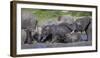 Africa. Tanzania. African elephants bathing at Ndutu, Serengeti National Park.-Ralph H. Bendjebar-Framed Premium Photographic Print