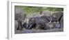 Africa. Tanzania. African elephants bathing at Ndutu, Serengeti National Park.-Ralph H. Bendjebar-Framed Premium Photographic Print