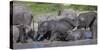 Africa. Tanzania. African elephants bathing at Ndutu, Serengeti National Park.-Ralph H. Bendjebar-Stretched Canvas