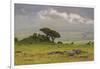 Africa. Tanzania. African Lion at Ngorongoro crater in the Ngorongoro Conservation Area.-Ralph H. Bendjebar-Framed Photographic Print