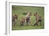 Africa. Tanzania. African lion cubs mock fighting at Ndutu, Serengeti National Park.-Ralph H. Bendjebar-Framed Photographic Print