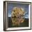 Africa. Tanzania. African lions at Ndutu, Serengeti National Park.-Ralph H. Bendjebar-Framed Photographic Print