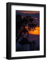 Africa. Tanzania. Colorful setting sun, Serengeti National Park.-Ralph H. Bendjebar-Framed Photographic Print