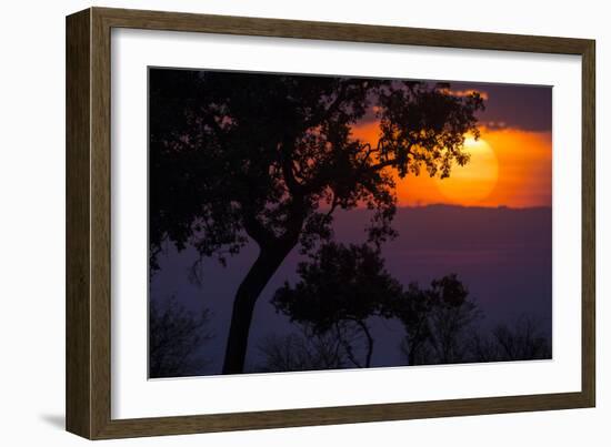 Africa. Tanzania. Colorful setting sun, Serengeti National Park.-Ralph H. Bendjebar-Framed Photographic Print