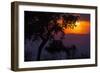 Africa. Tanzania. Colorful setting sun, Serengeti National Park.-Ralph H. Bendjebar-Framed Photographic Print