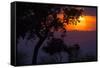 Africa. Tanzania. Colorful setting sun, Serengeti National Park.-Ralph H. Bendjebar-Framed Stretched Canvas