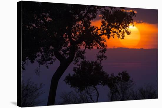 Africa. Tanzania. Colorful setting sun, Serengeti National Park.-Ralph H. Bendjebar-Stretched Canvas