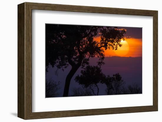 Africa. Tanzania. Colorful setting sun, Serengeti National Park.-Ralph H. Bendjebar-Framed Photographic Print