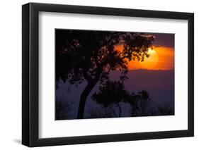 Africa. Tanzania. Colorful setting sun, Serengeti National Park.-Ralph H. Bendjebar-Framed Photographic Print