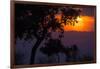 Africa. Tanzania. Colorful setting sun, Serengeti National Park.-Ralph H. Bendjebar-Framed Photographic Print