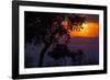 Africa. Tanzania. Colorful setting sun, Serengeti National Park.-Ralph H. Bendjebar-Framed Photographic Print