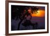 Africa. Tanzania. Colorful setting sun, Serengeti National Park.-Ralph H. Bendjebar-Framed Photographic Print