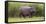 Africa. Tanzania. Hippopotamus, Serengeti National Park.-Ralph H. Bendjebar-Framed Stretched Canvas