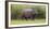 Africa. Tanzania. Hippopotamus, Serengeti National Park.-Ralph H. Bendjebar-Framed Photographic Print