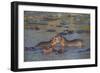 Africa. Tanzania. Hippopotamus, Serengeti National Park.-Ralph H. Bendjebar-Framed Photographic Print