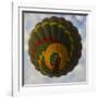 Africa. Tanzania. Hot air balloon crossing the Mara River, Serengeti National Park.-Ralph H. Bendjebar-Framed Photographic Print