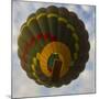 Africa. Tanzania. Hot air balloon crossing the Mara River, Serengeti National Park.-Ralph H. Bendjebar-Mounted Photographic Print