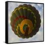 Africa. Tanzania. Hot air balloon crossing the Mara River, Serengeti National Park.-Ralph H. Bendjebar-Framed Stretched Canvas