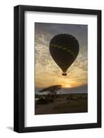 Africa. Tanzania. Hot air balloon crossing the Mara River, Serengeti National Park.-Ralph H. Bendjebar-Framed Photographic Print
