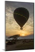 Africa. Tanzania. Hot air balloon crossing the Mara River, Serengeti National Park.-Ralph H. Bendjebar-Mounted Photographic Print